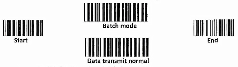 Batch Mode barcodes.